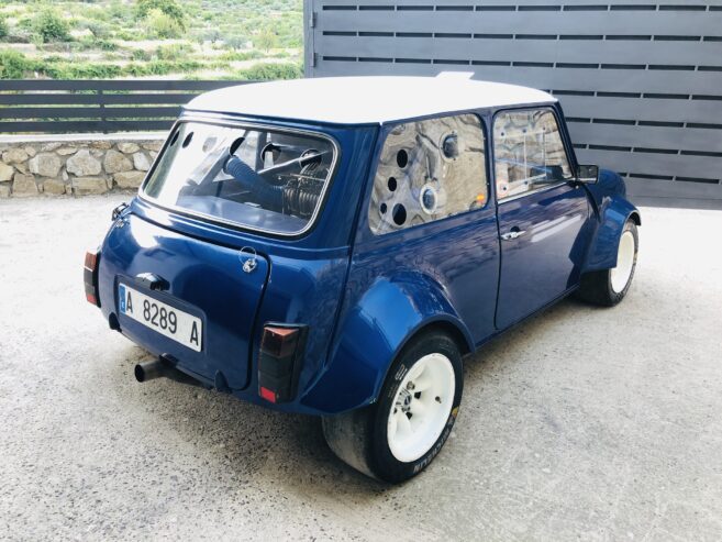 mini prototipo homologado rallyes